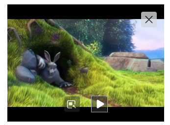 Firefox browser showing Picture-in-Picture mode